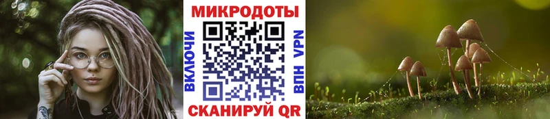 где продают   Покачи  Галлюциногенные грибы прущие грибы 